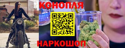 гашик Будённовск